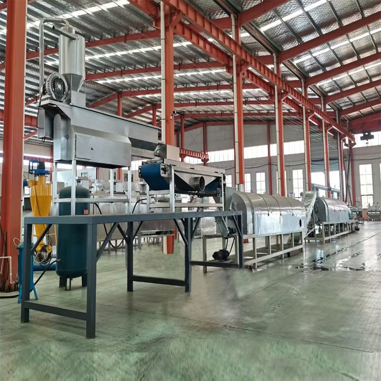 芝麻水洗炒制生产线